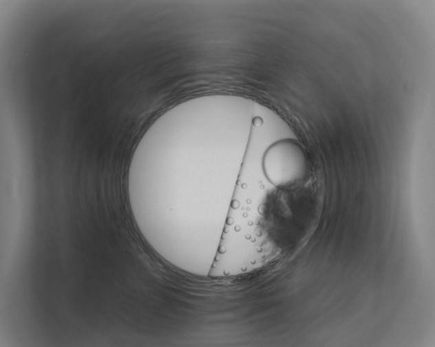 X0000111930715200908101142