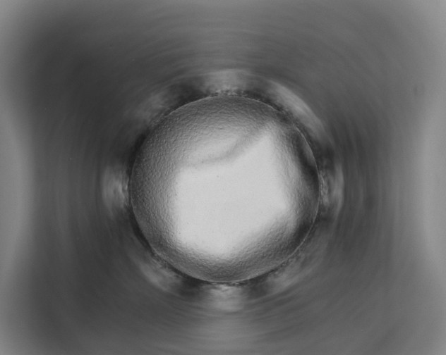 X0000111930718200908101142