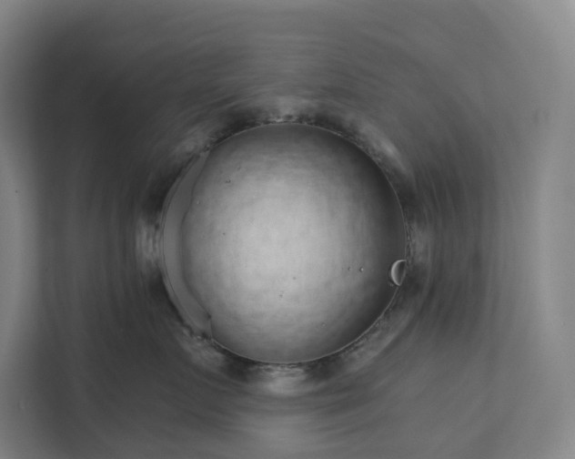 X0000111930719200908101142