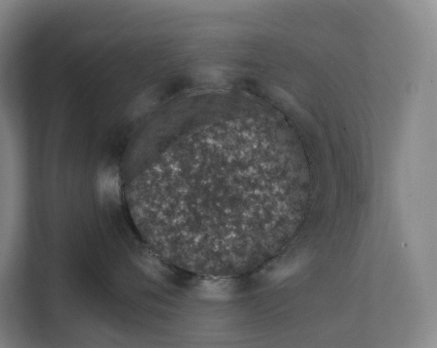 X0000111930720200908101142