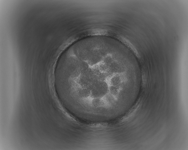 X0000111930721200908101141