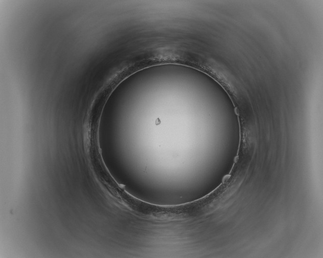 X0000111930722200908101141