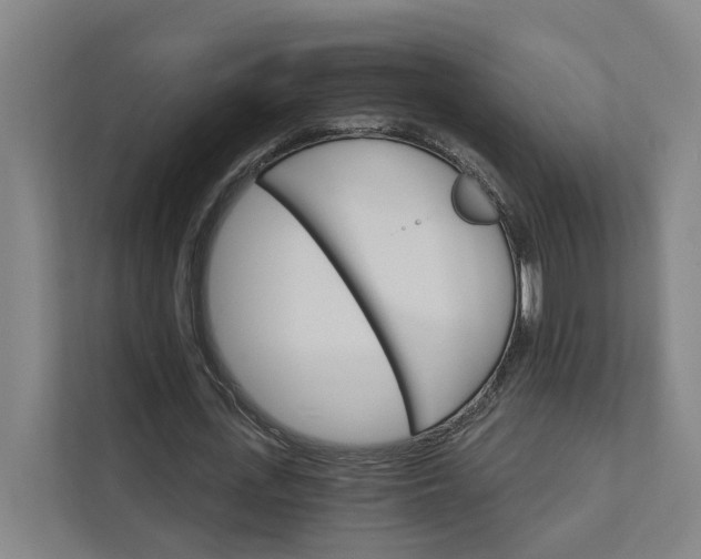 X0000111930723200908101141