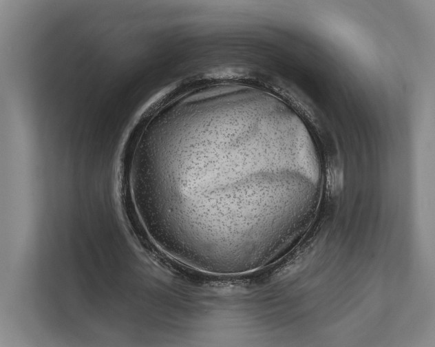 X0000111930724200908101141