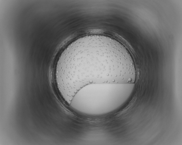 X0000111930725200908101141