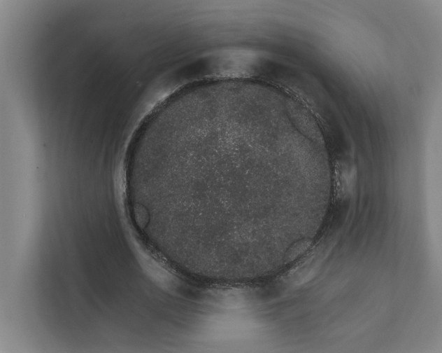 X0000111930726200908101141