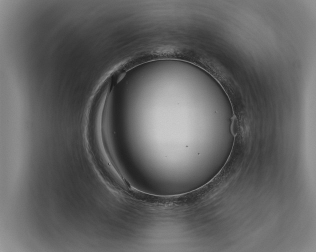 X0000111930728200908101141