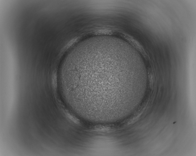 X0000111930729200908101141