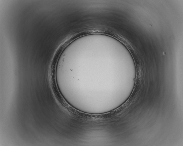 X0000111930730200908101141