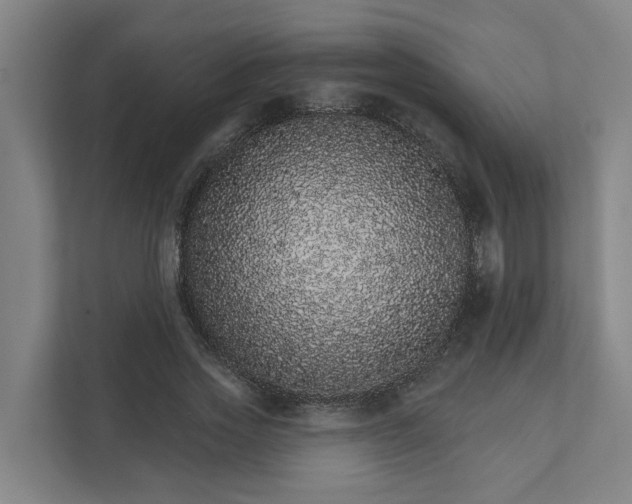 X0000111930733200908101141