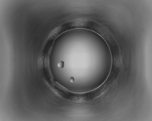 X0000111930735200908101141