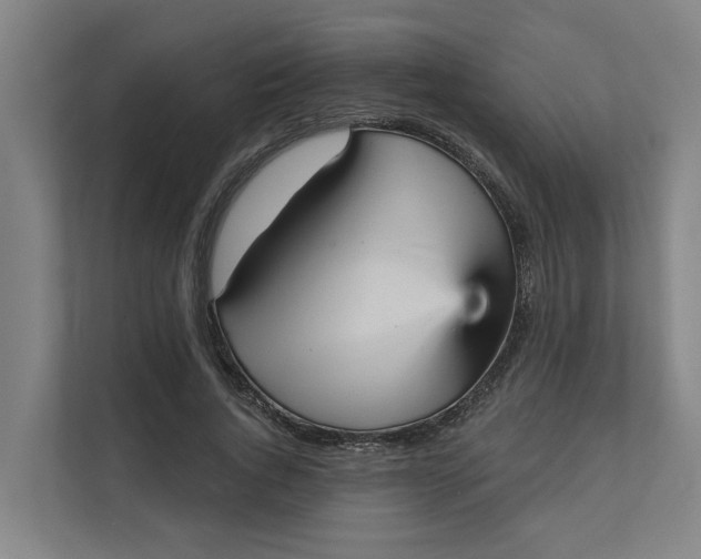 X0000111930736200908101141