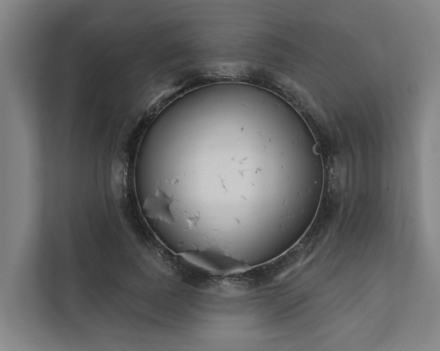 X0000111930739200908101141