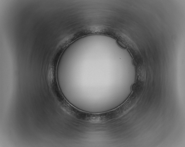 X0000111930740200908101141