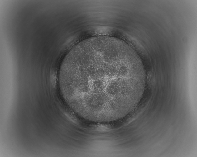 X0000111930741200908101141