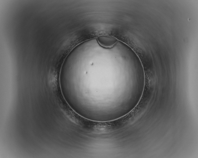 X0000111930745200908101141