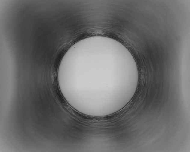 X0000111930747200908101141