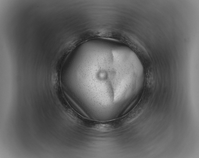 X0000111930748200908101141