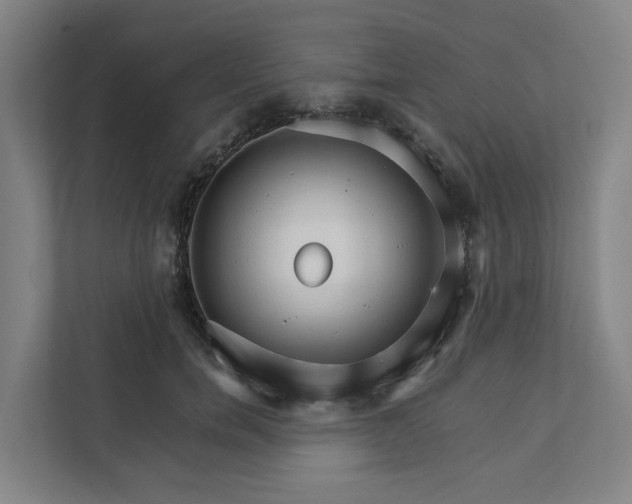 X0000111930750200908101141