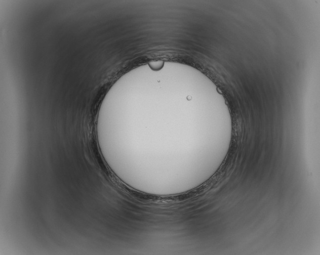 X0000111930751200908101141