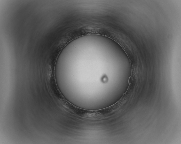 X0000111930752200908101141