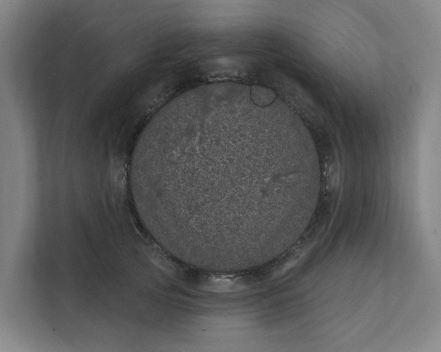 X0000111930753200908101141