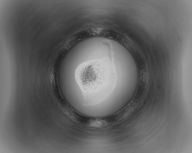 X0000111930754200908101141