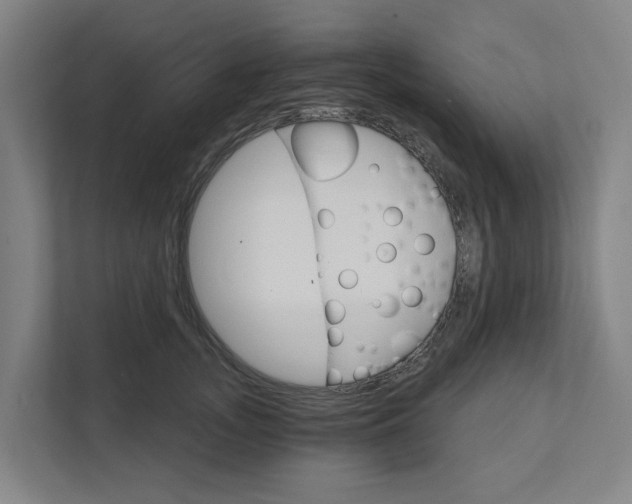 X0000111930755200908101141