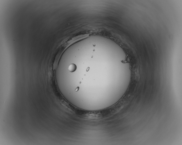 X0000111930756200908101141