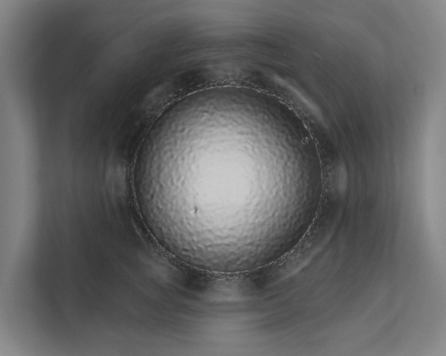 X0000111930757200908101141