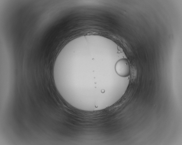 X0000111930759200908101141