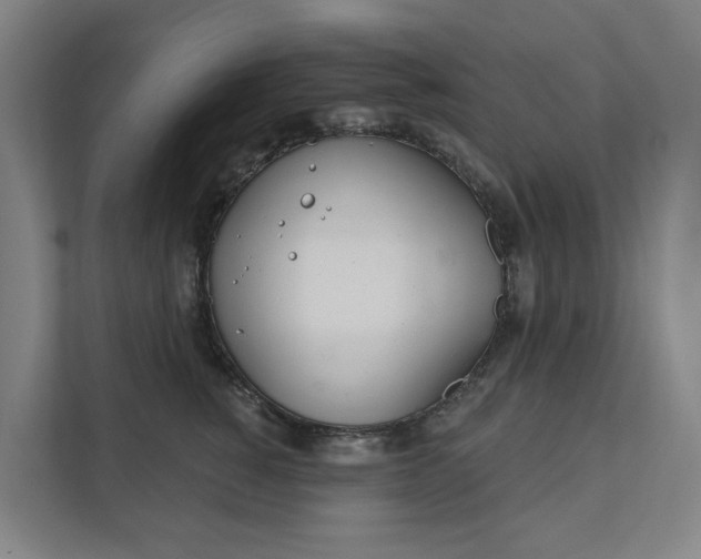 X0000111930760200908101141