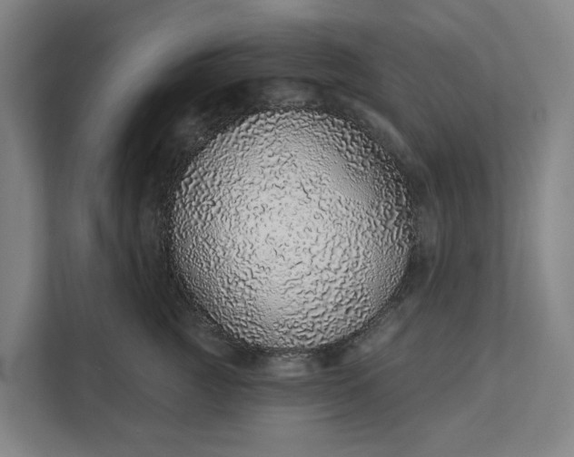 X0000111930761200908101141