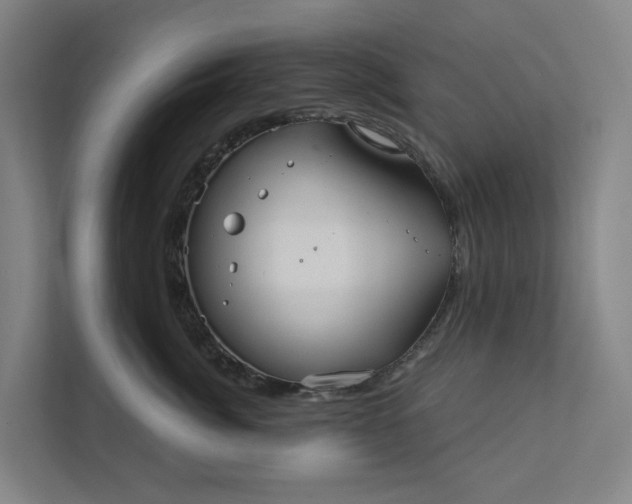 X0000111930764200908101142