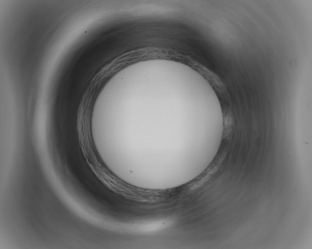 X0000111930765200908101142