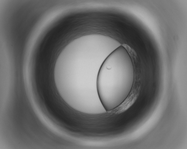 X0000111930766200908101142