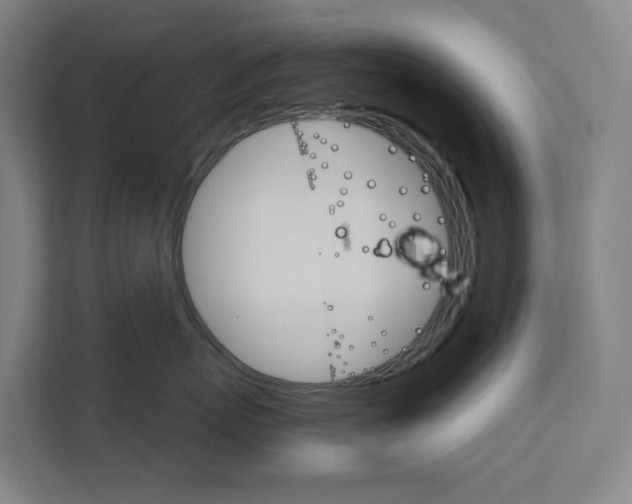 X0000111930767200908101142