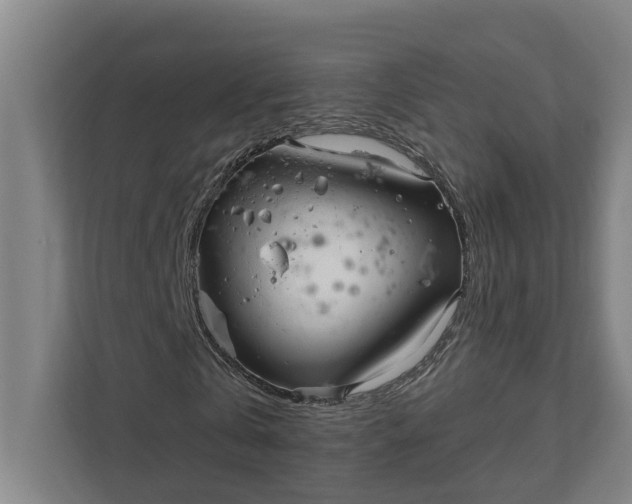 X0000111930769200908101141