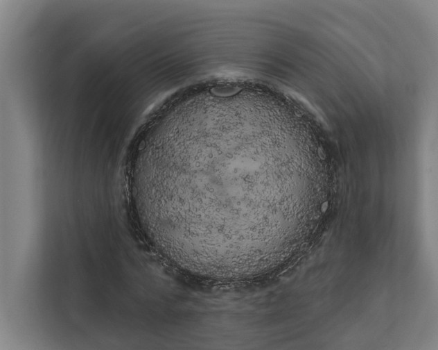 X0000111930776200908101141