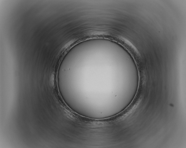 X0000111930777200908101141