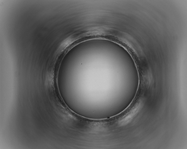 X0000111930778200908101141