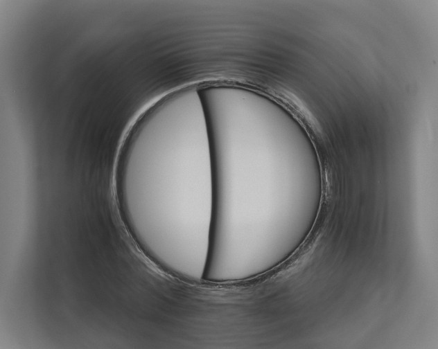 X0000111930780200908101141