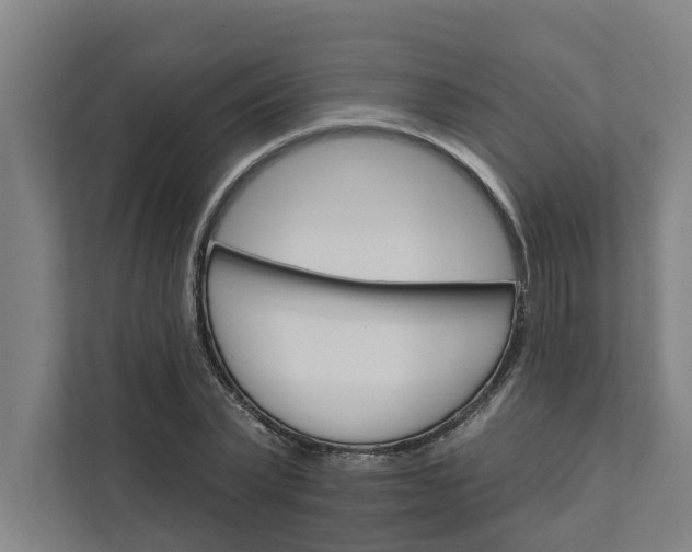 X0000111930783200908101141