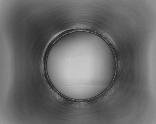 X0000111930784200908101141