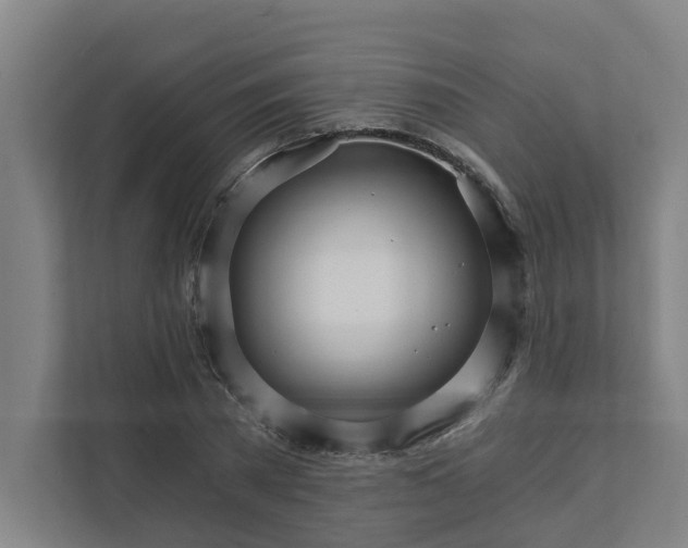 X0000111930785200908101141