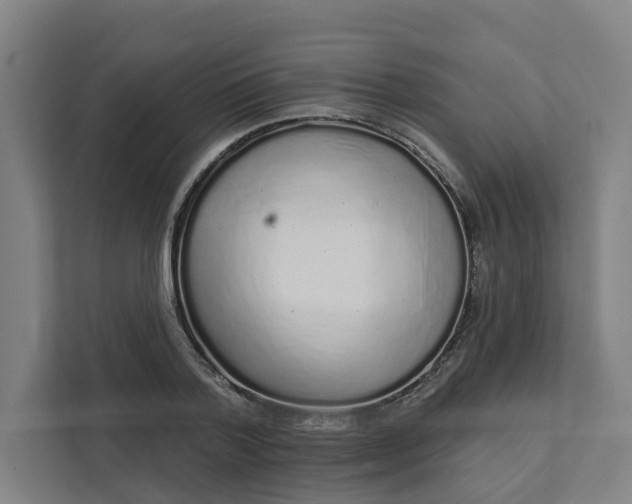 X0000111930788200908101141