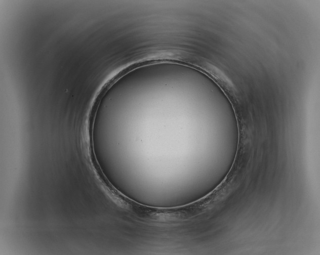 X0000111930792200908101141