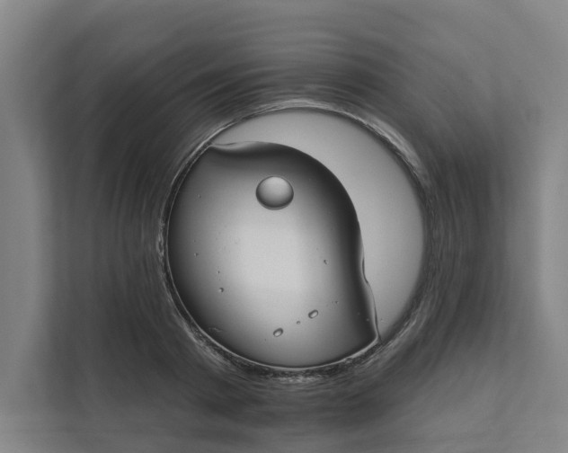 X0000111930793200908101141