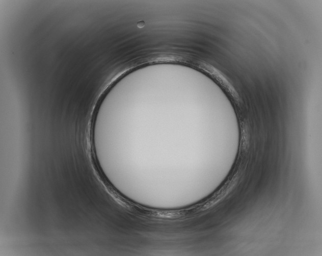 X0000111930794200908101141