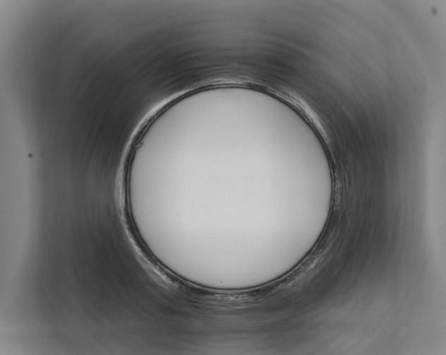 X0000111930795200908101141